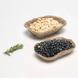 綠色革命新浪潮 那些讓你大開眼界的植物提取環(huán)保黑科技