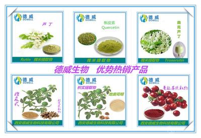 番瀉葉提取物 功效、市場價(jià)格與西安產(chǎn)業(yè)概況